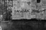 29 maja 1943 roku miała miejsce egzekucja więźniów Pawiaka w ruinach warszawskiego getta