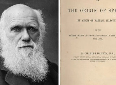 Karol Darwin