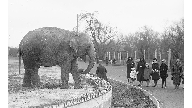 Antonina Żabińska wwa zoo 1933