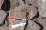 Polscy archeolodzy odnaleźli grę planszową sprzed 4 tysięcy lat