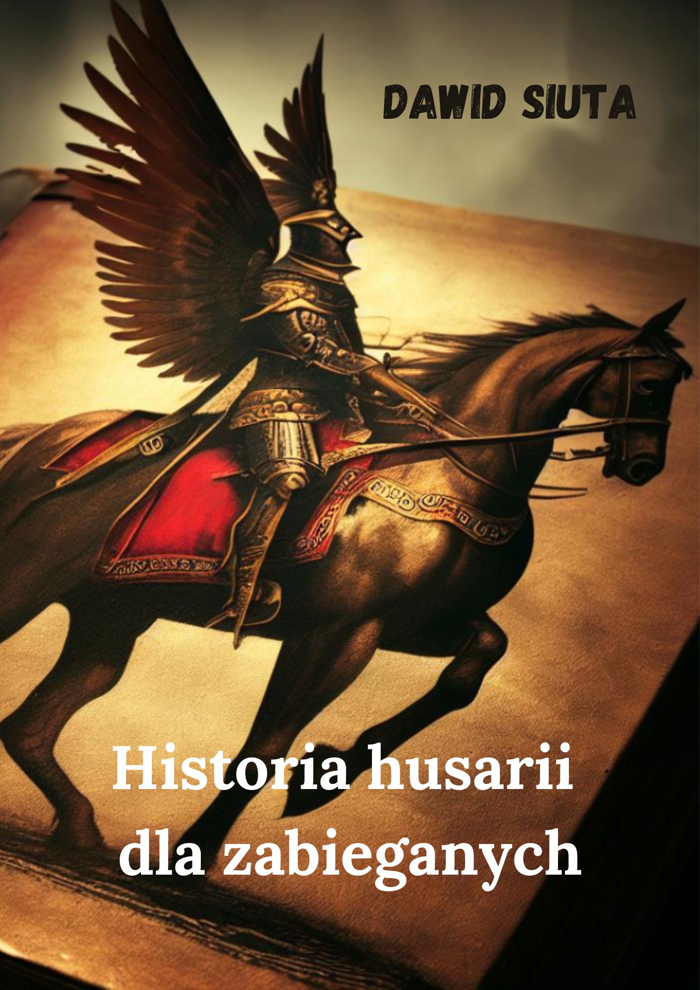 Historia husarii dla zabieganych