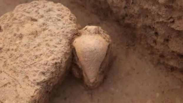 Archeolodzy w Chinach odnaleźli 7000-letnią butelkę