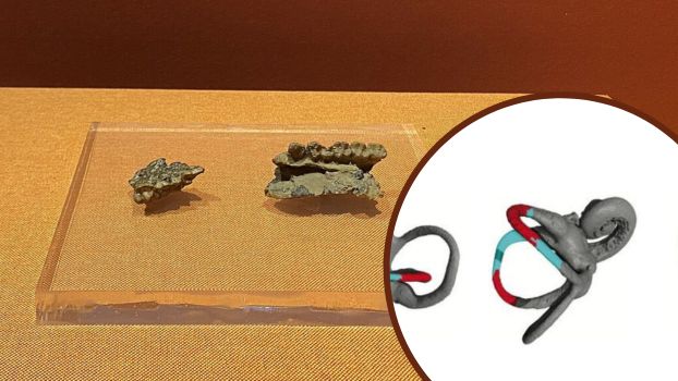 Jak człowiek wykształcił zdolność poruszania się na dwóch nogach? Nowe badania