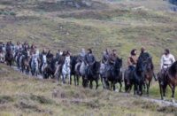 Outlaw king