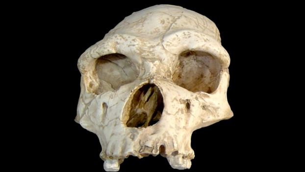 Nowe badania: Homo erectus wykazał zdolność do adaptacji w ekstremalnych środowiskach