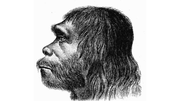 Jak grupy krwi mogły przyczynić się do wyginięcia Neandertalczyków?