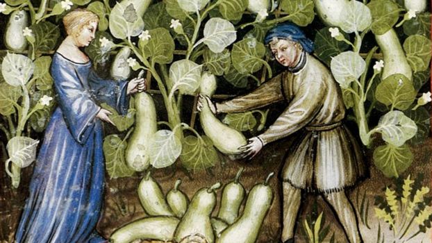 Średniowieczne chłopki. Życie, praca i wyzwania kobiet na wsi w feudalnej Europie