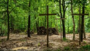 Fragmenty szkieletów 42 osób w Puźnikach